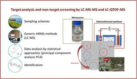 Target analysis and non-target screening